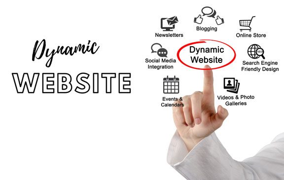 website-dynamic website-dynamic